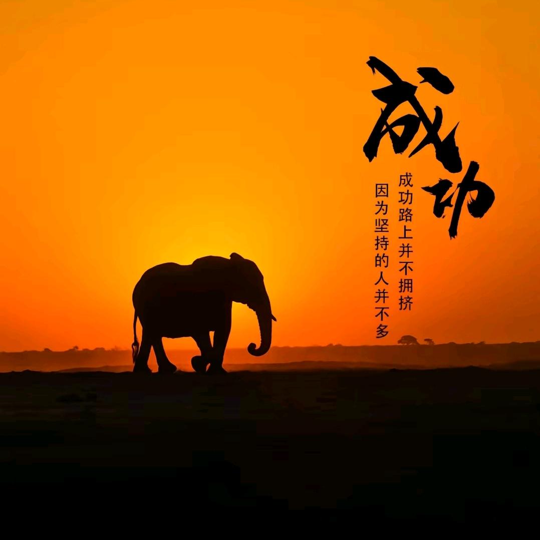 人间清醒