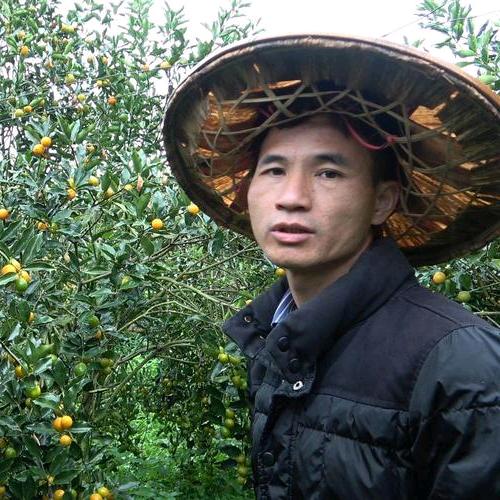 卖金桔的山哥