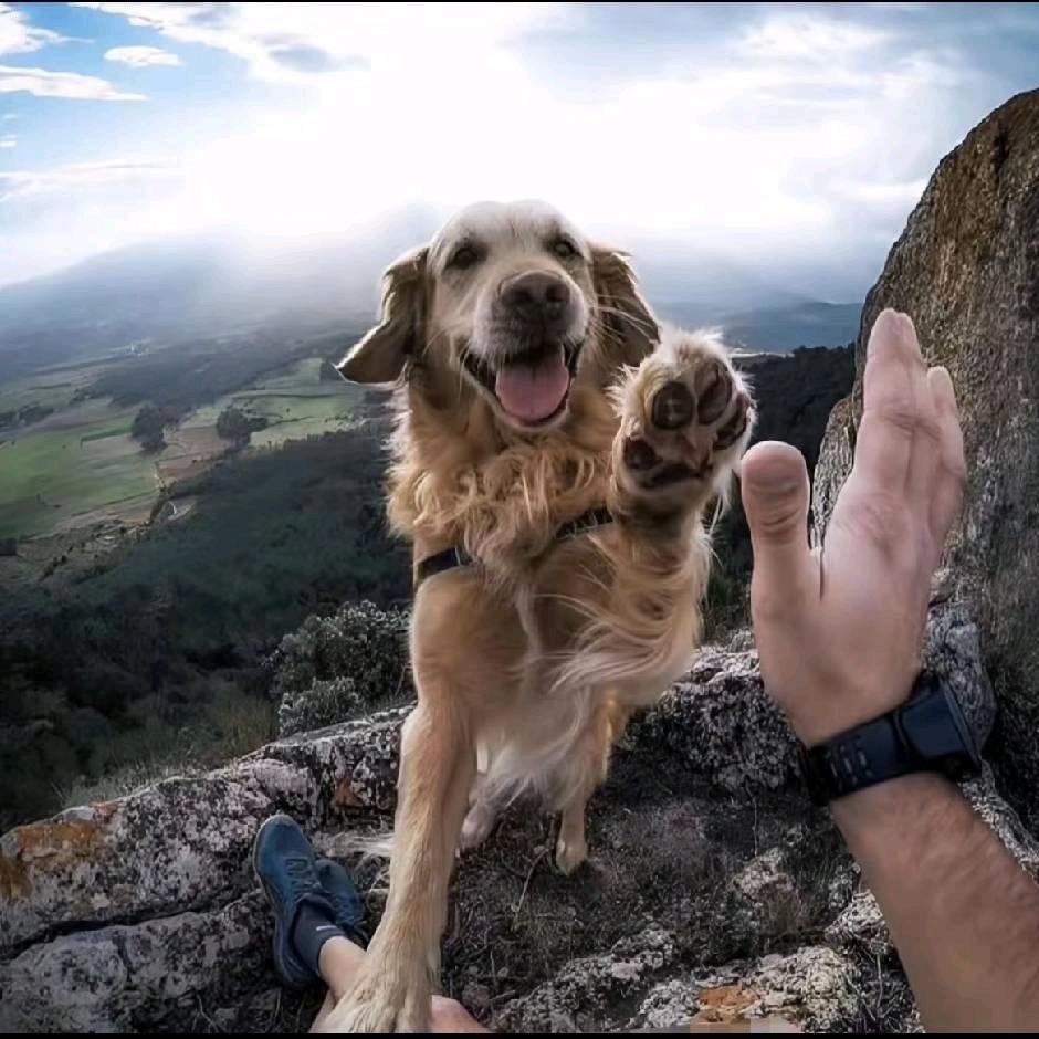 🌈🌈可不🌈🌈