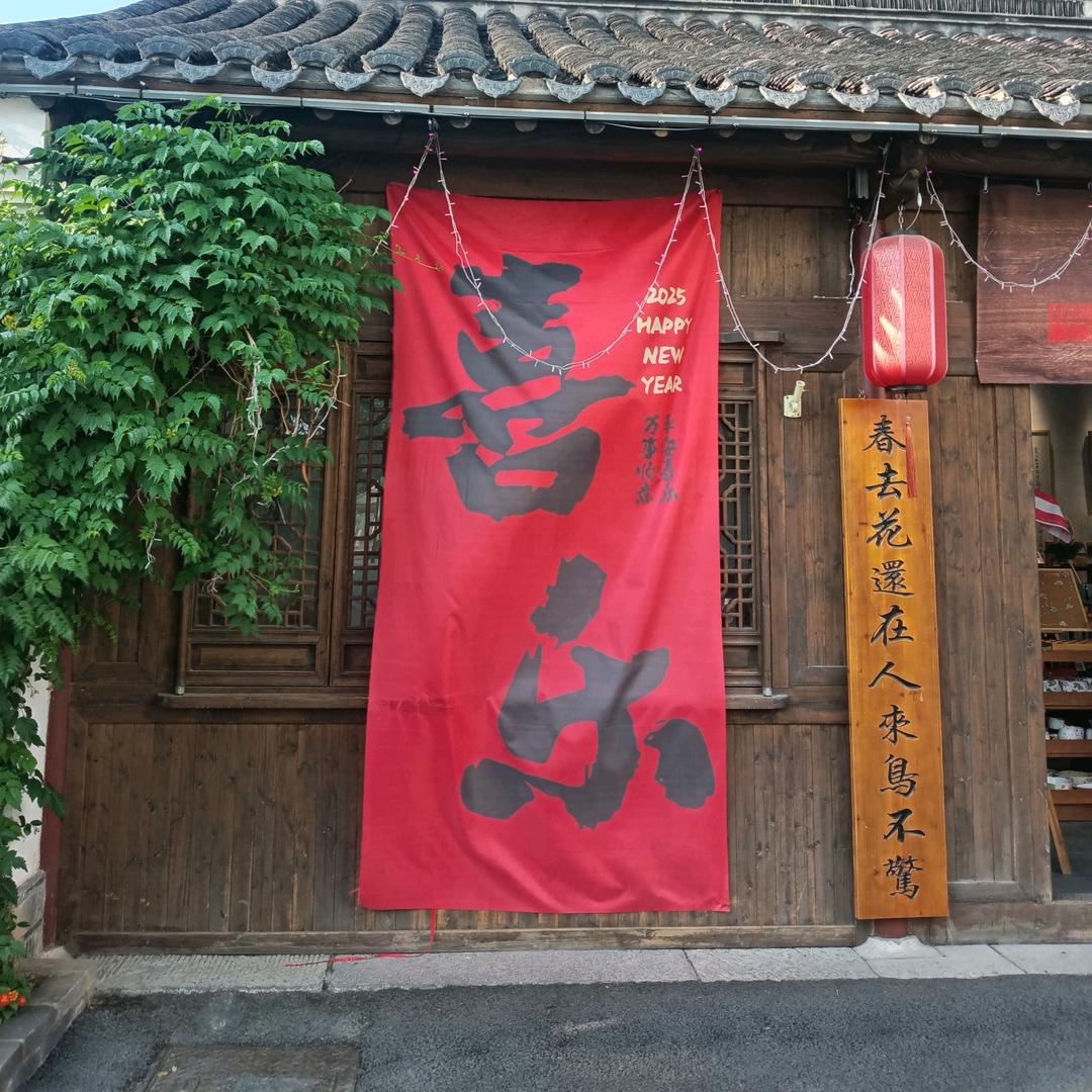 菜菜