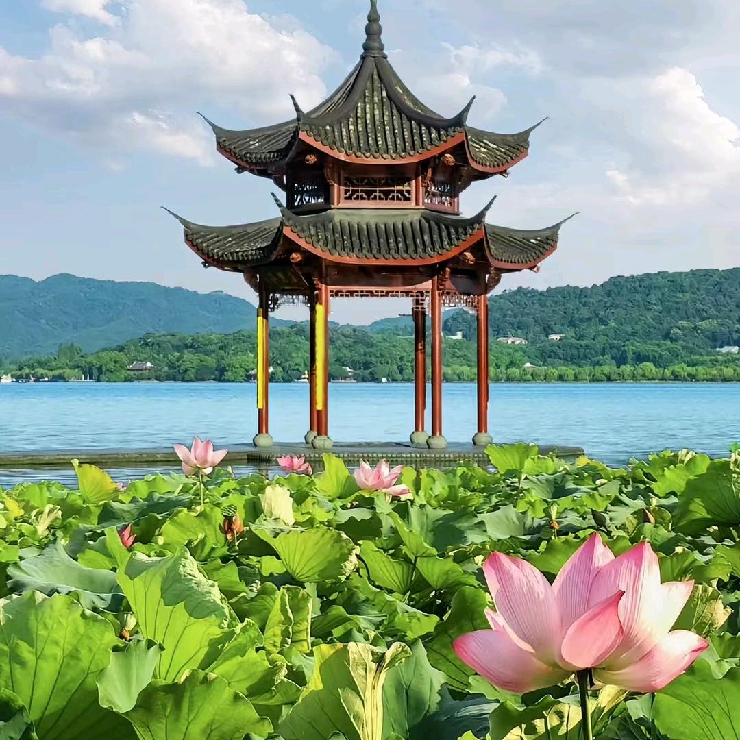 🌈迪力热吗