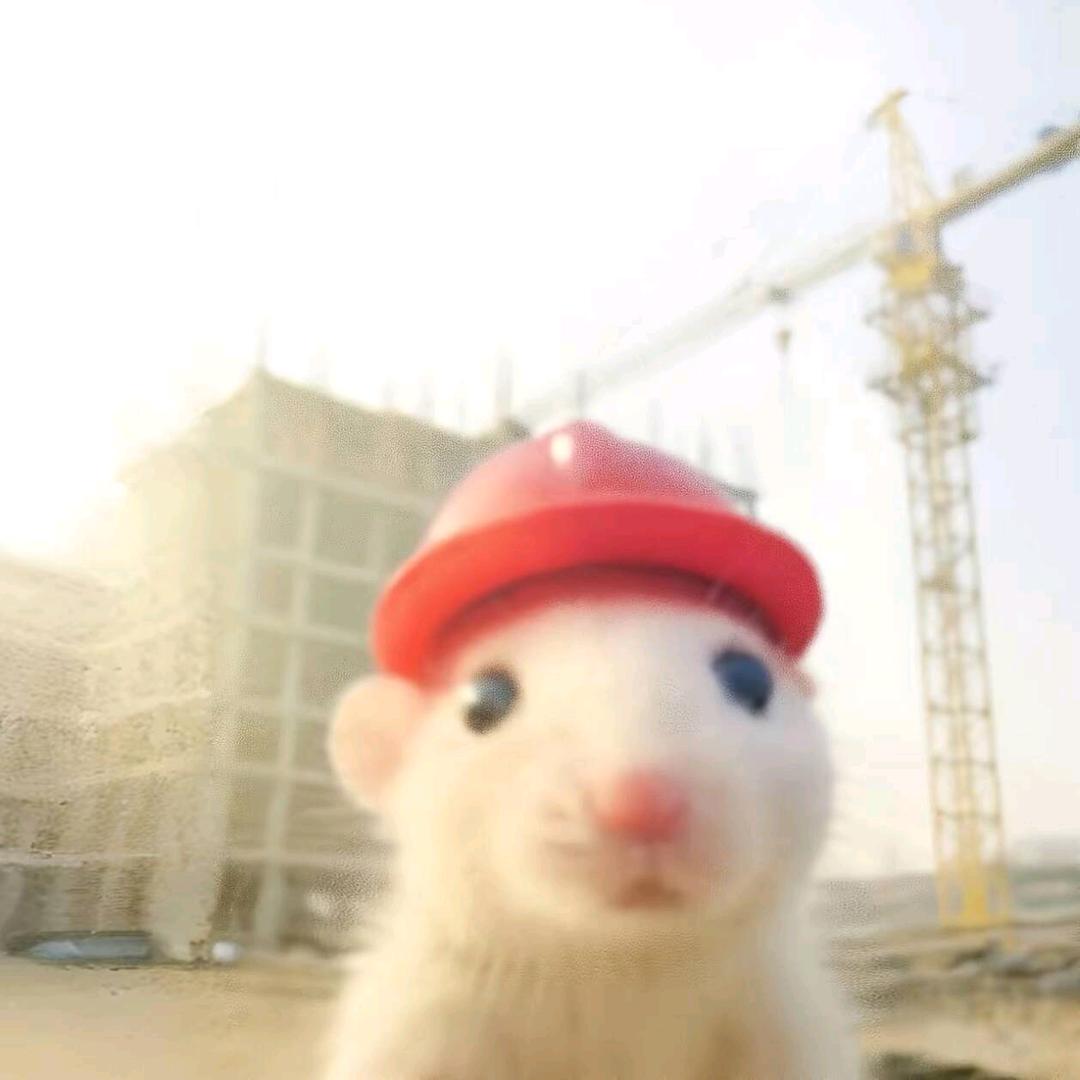 我补药学土木啊