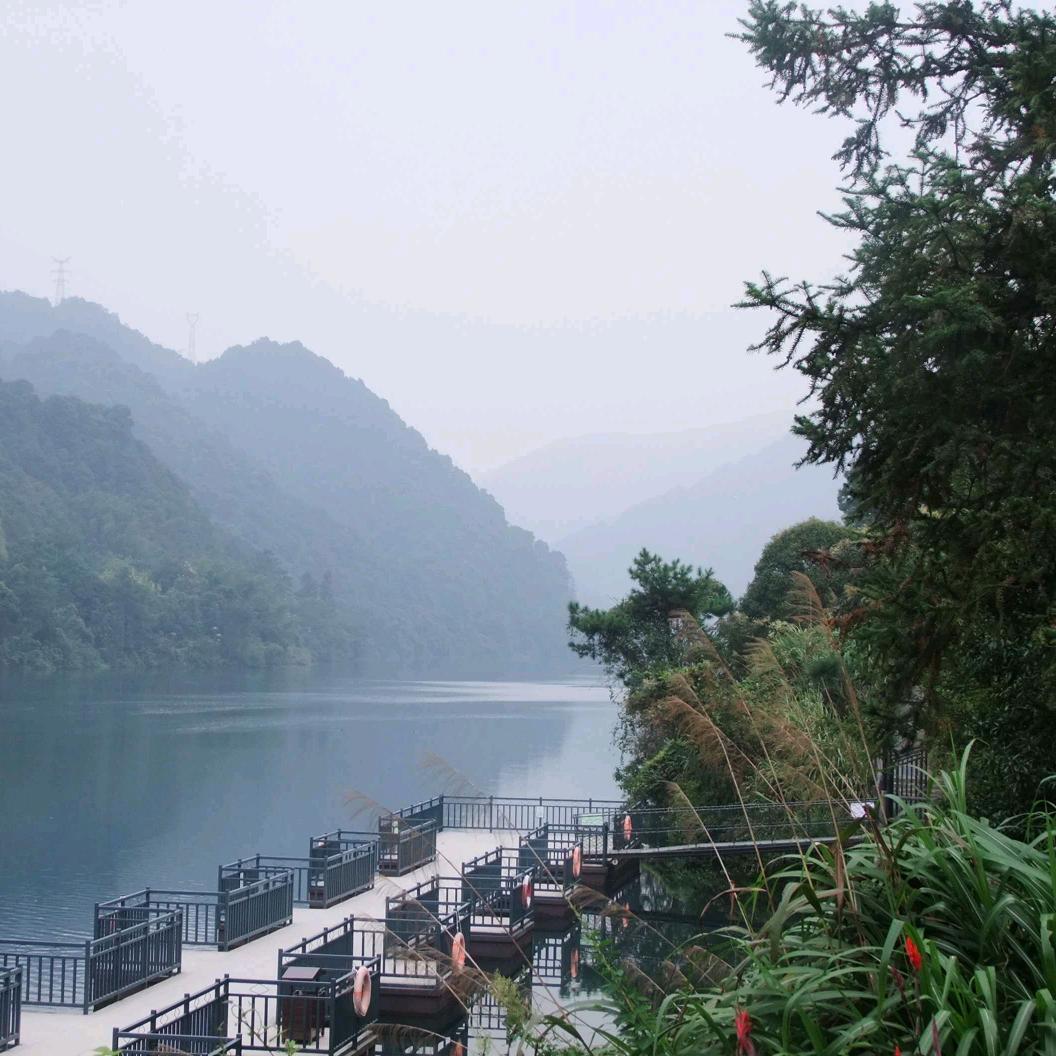 巳巳如意