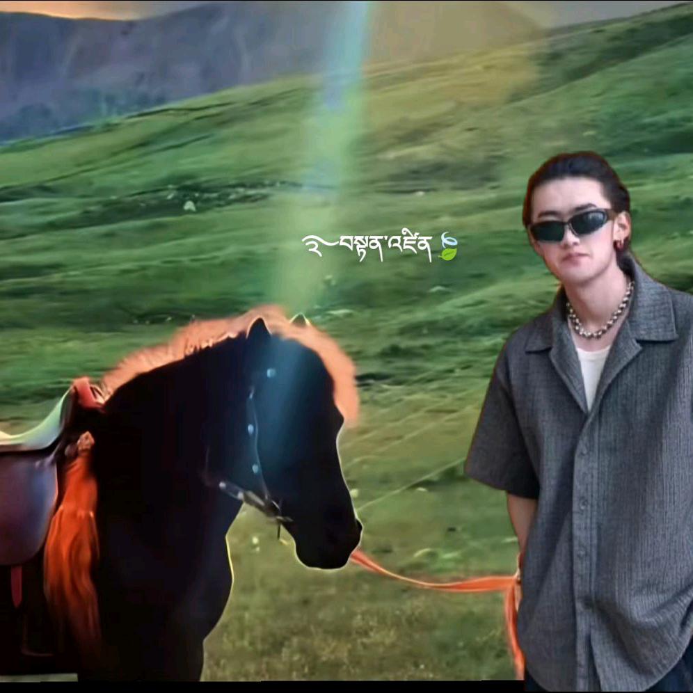 雅江单珍-------🪶