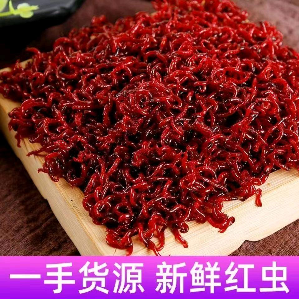 天津好帮手红虫批发