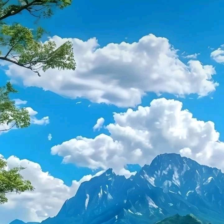 杨：