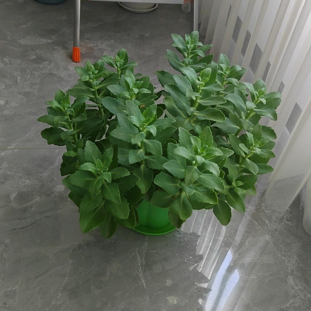 一生平安