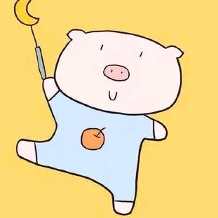 小猪猪宝贝