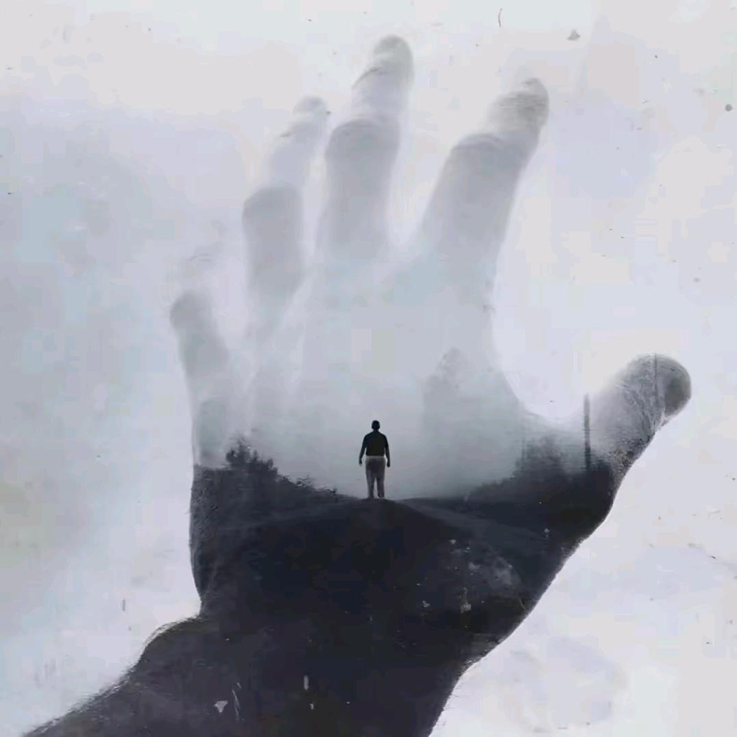 初心偷月亮(画饼版)🐸