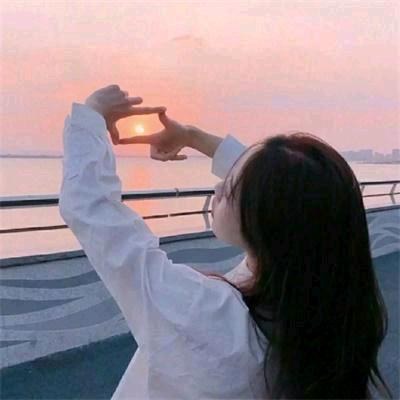 喜洋杨