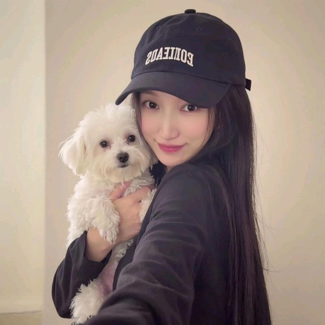圆圆的脸