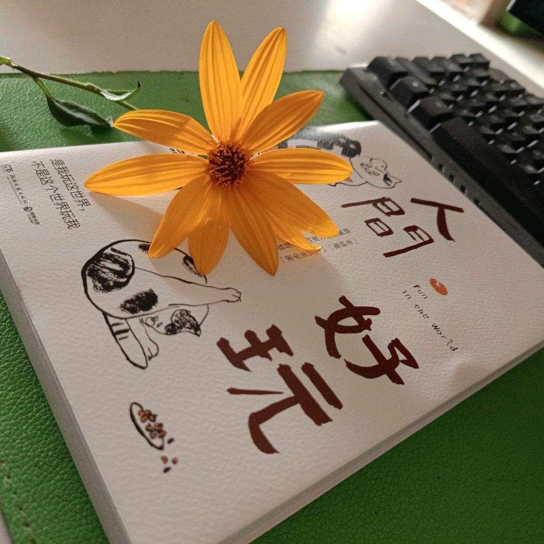 时光不老，我们不散