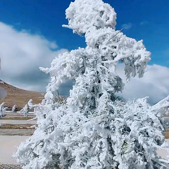 足康养生馆官方号