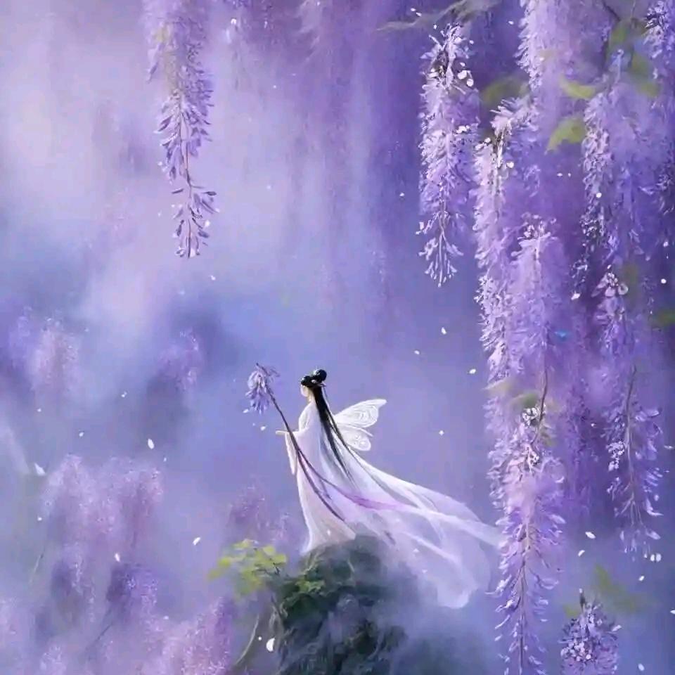 爱追剧的小仙女