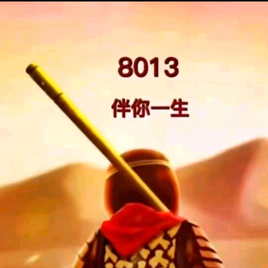 等你归航8013