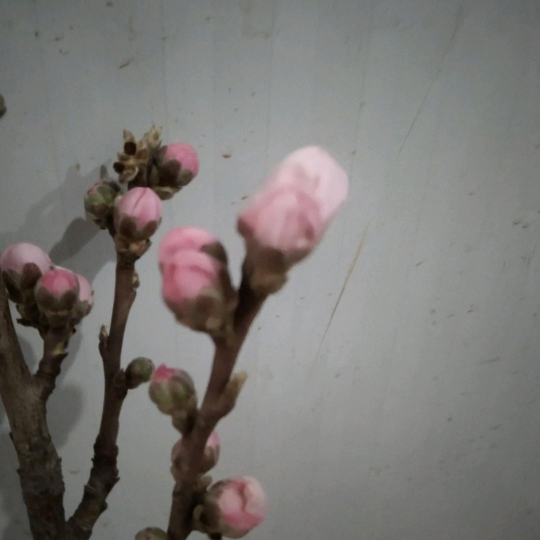打工哥，，，