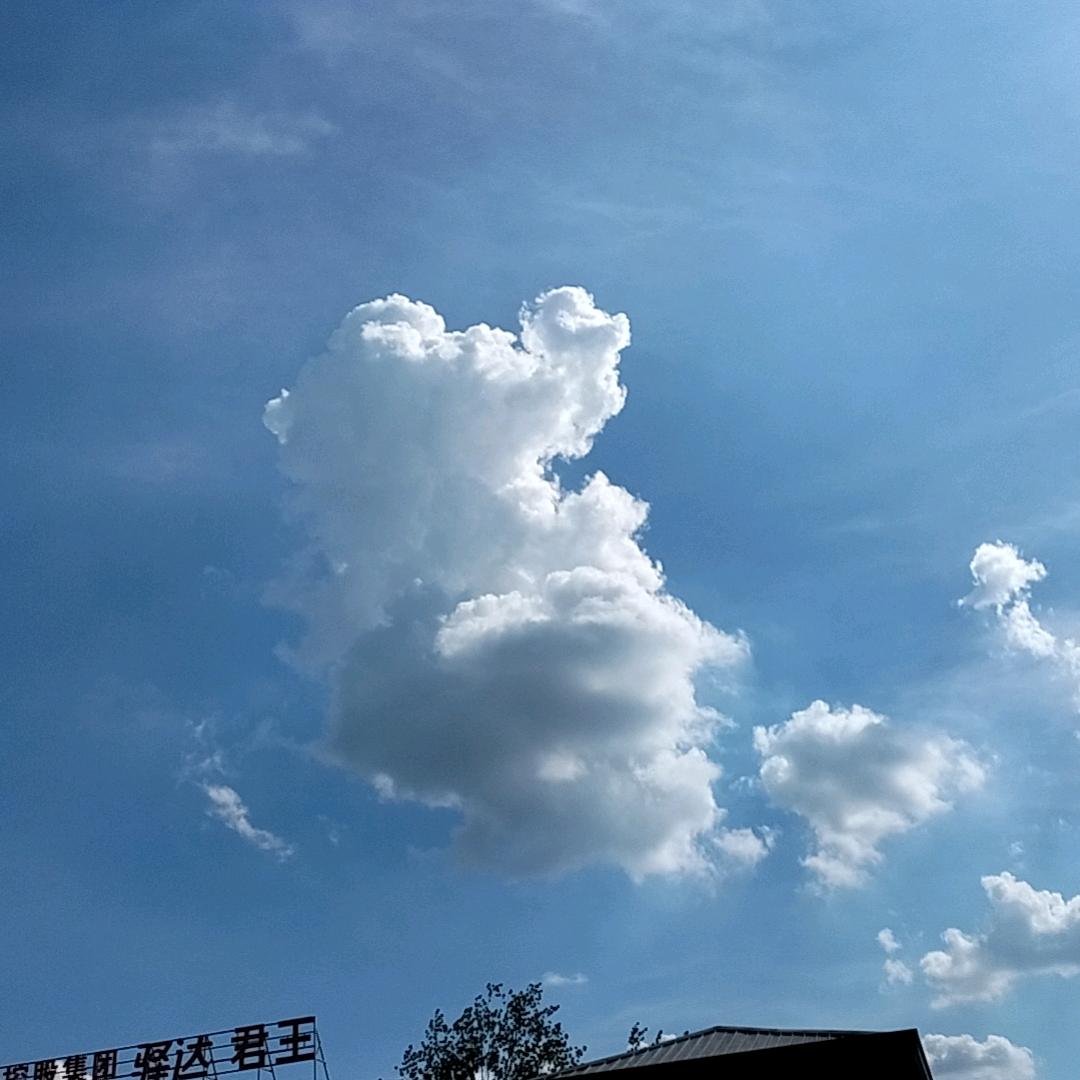 追寻光，成为光