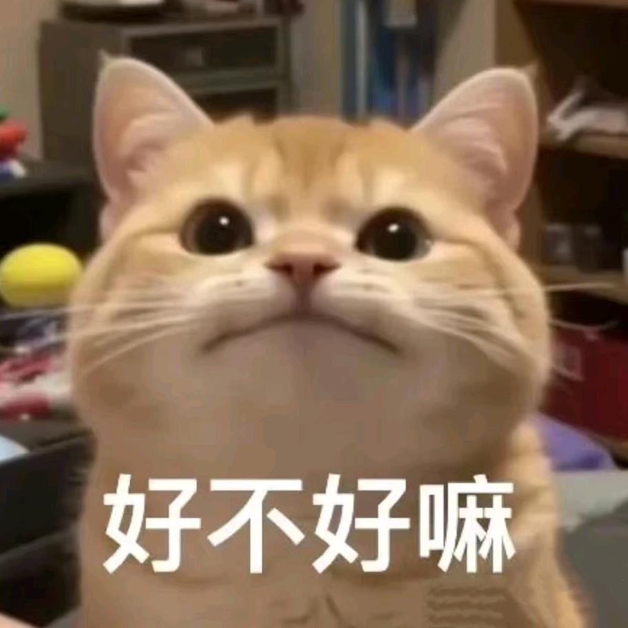 萝bro
