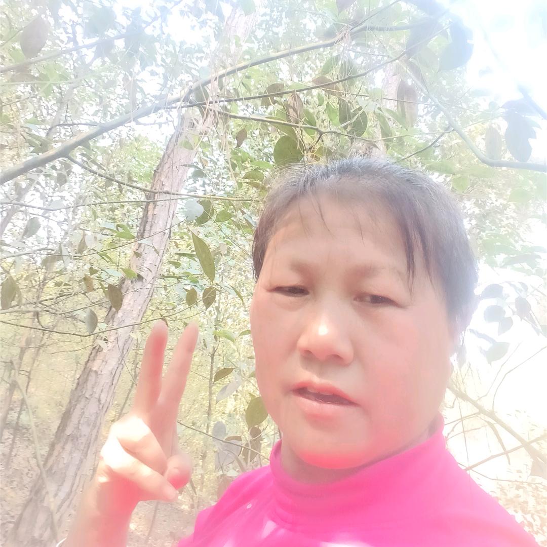 林姐