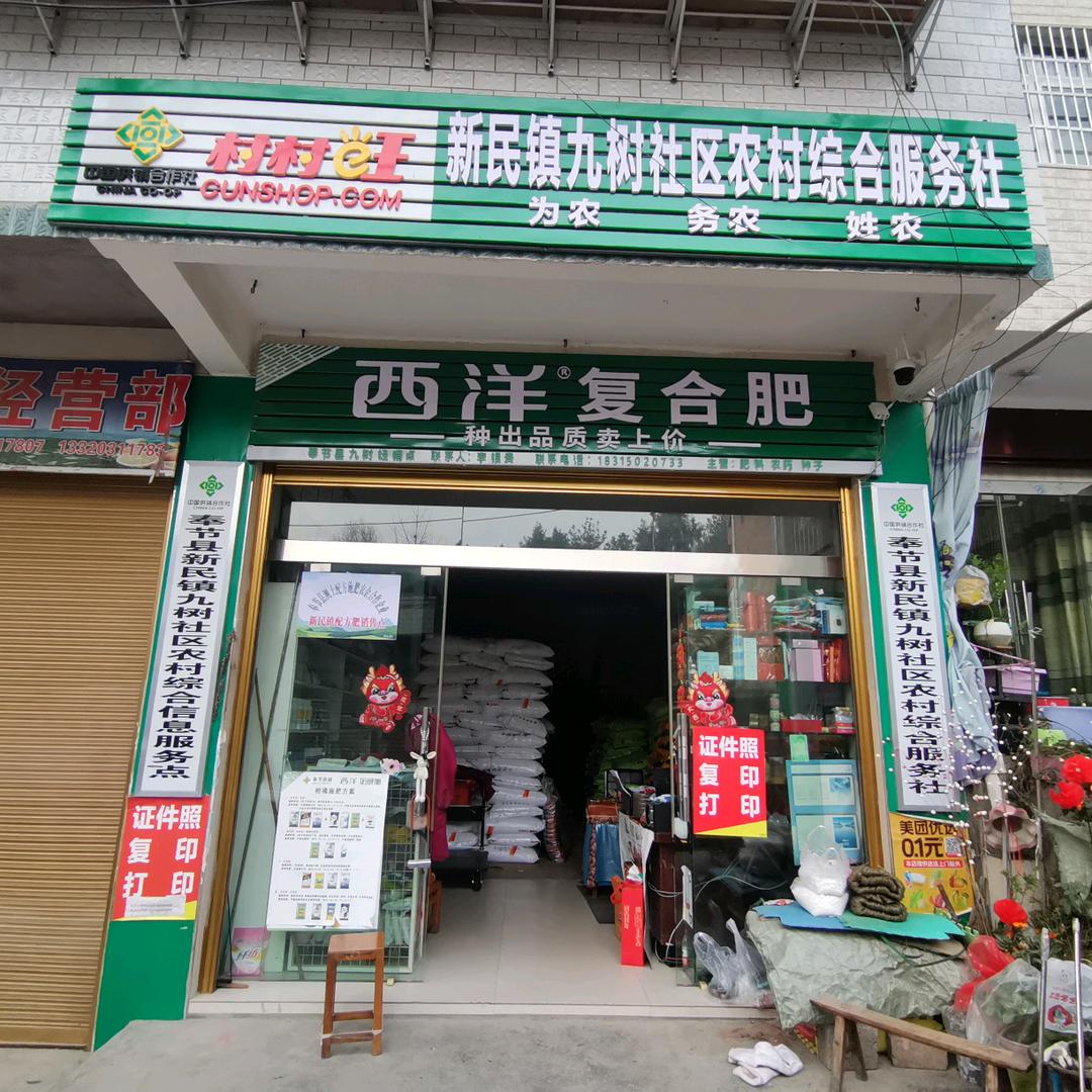 九树供销社农资供应
