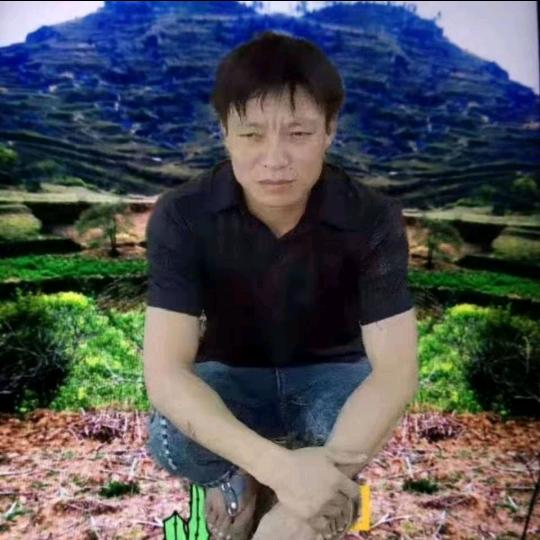 自由平等