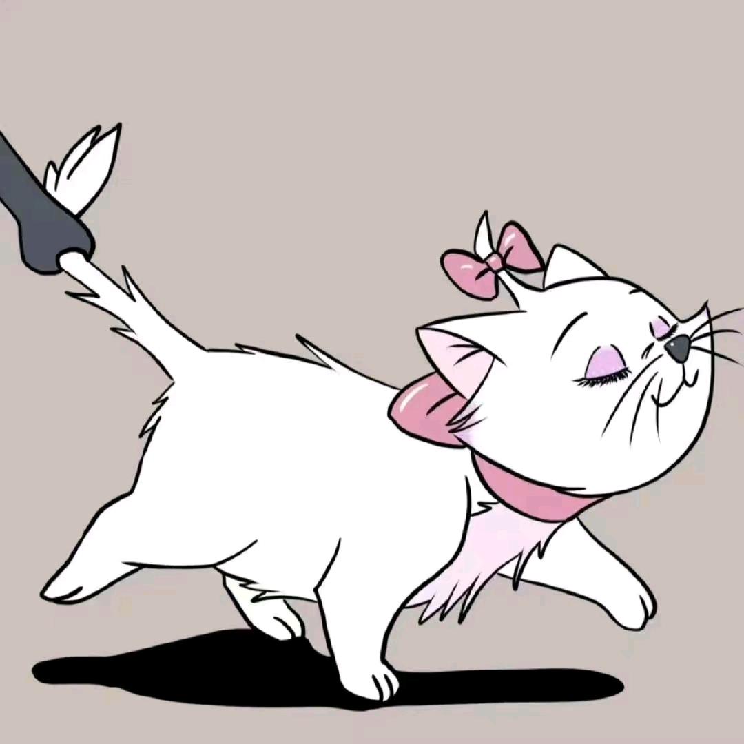 爱玩游戏的玛丽猫