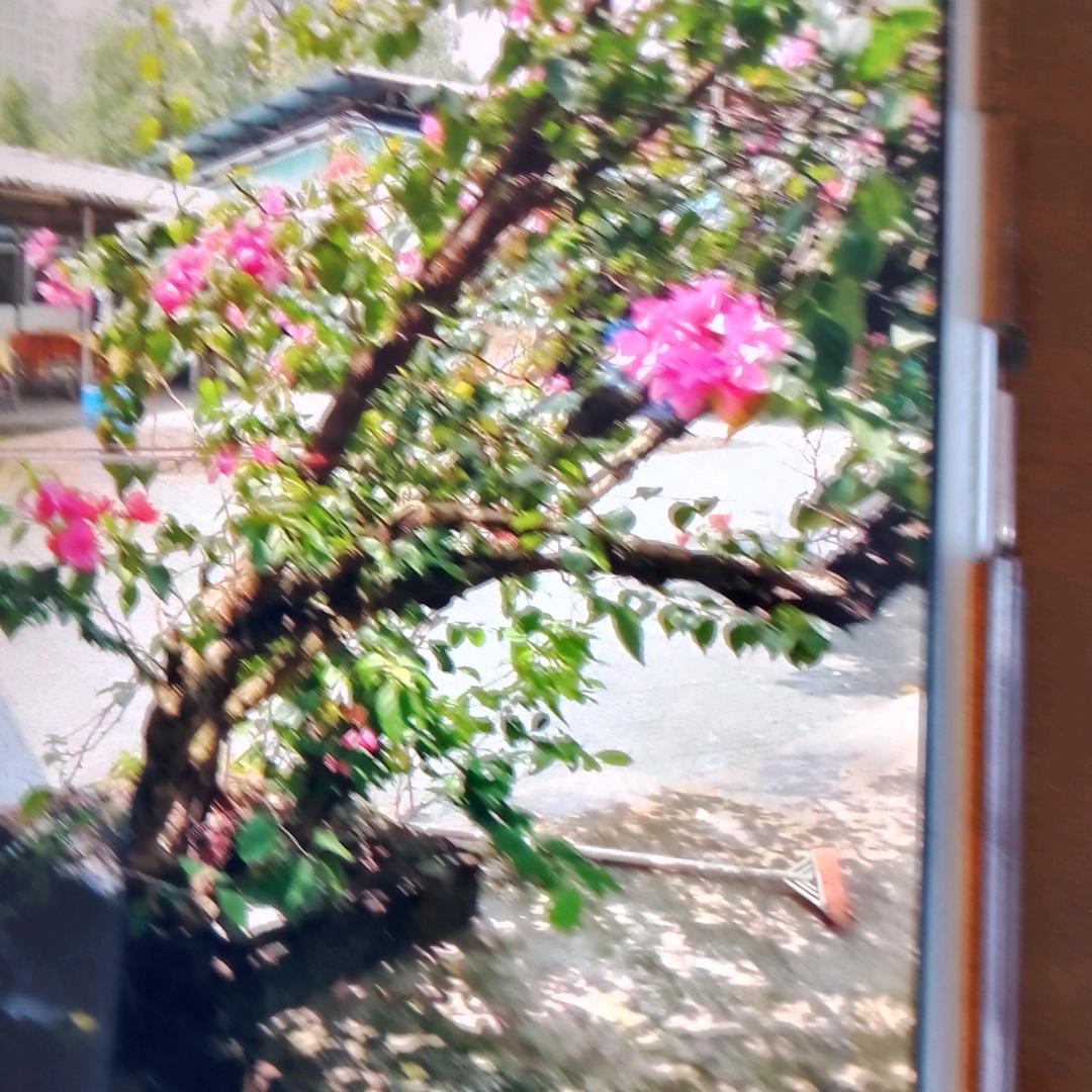 你邓中华