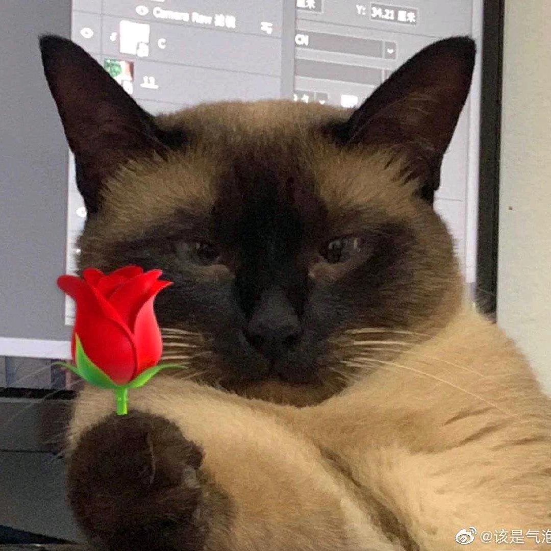 亦南歌