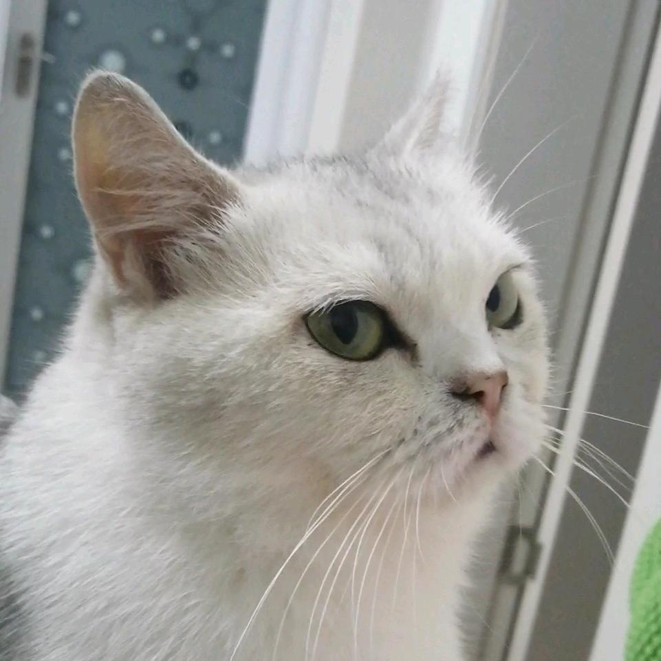 李文