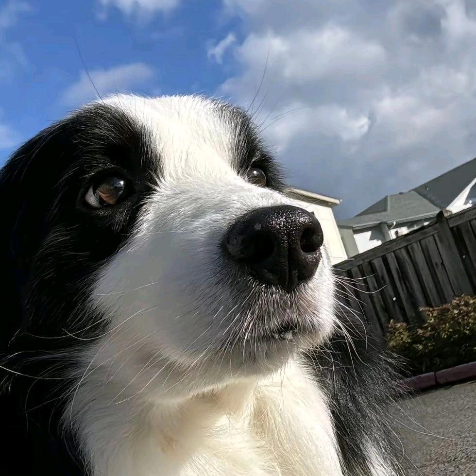 康师傅在逃牛肉