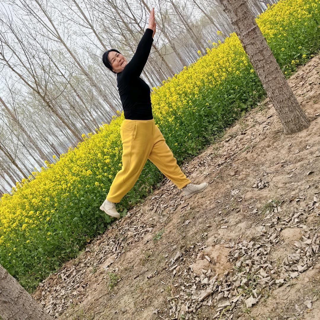 白梅含笑