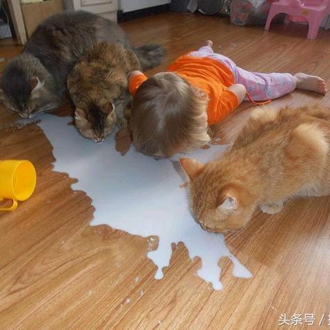 中誉玖郡·姜姜