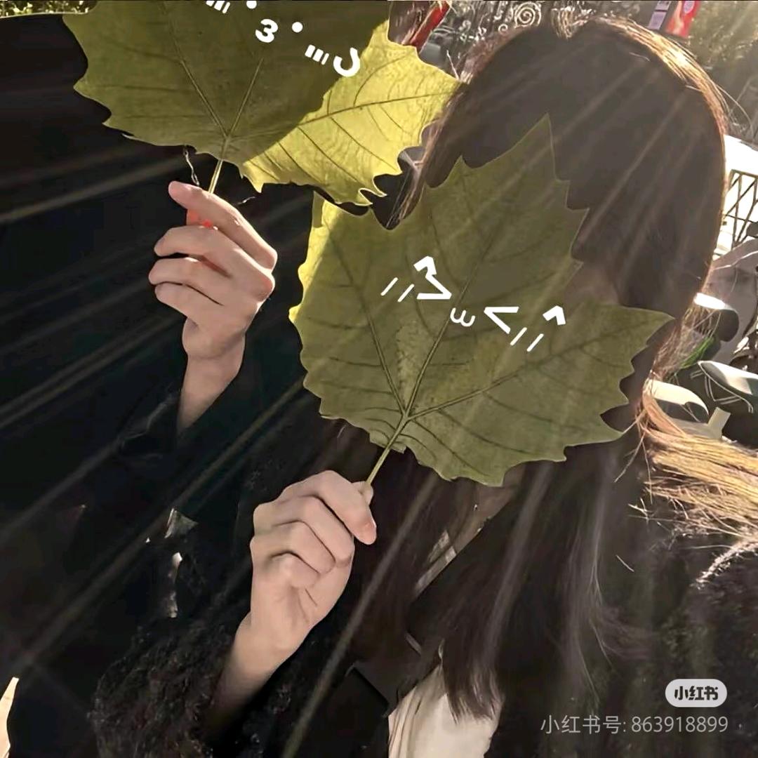 王崽崽