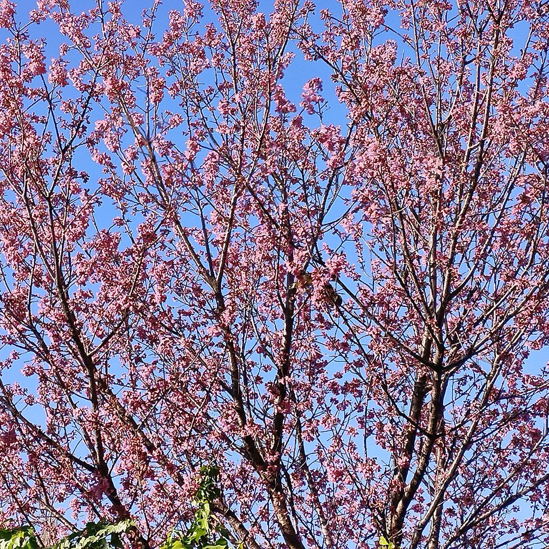荒野十月冬来眠