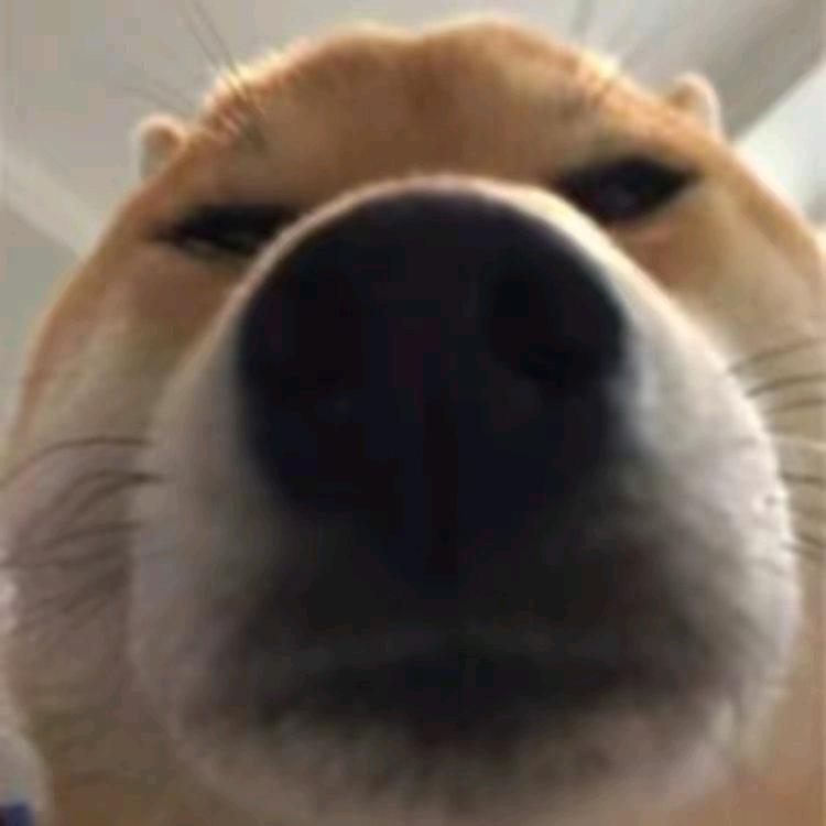 真好.