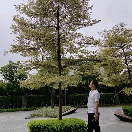 张先森🤗