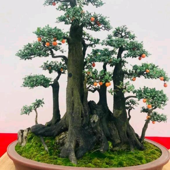 百科园艺
