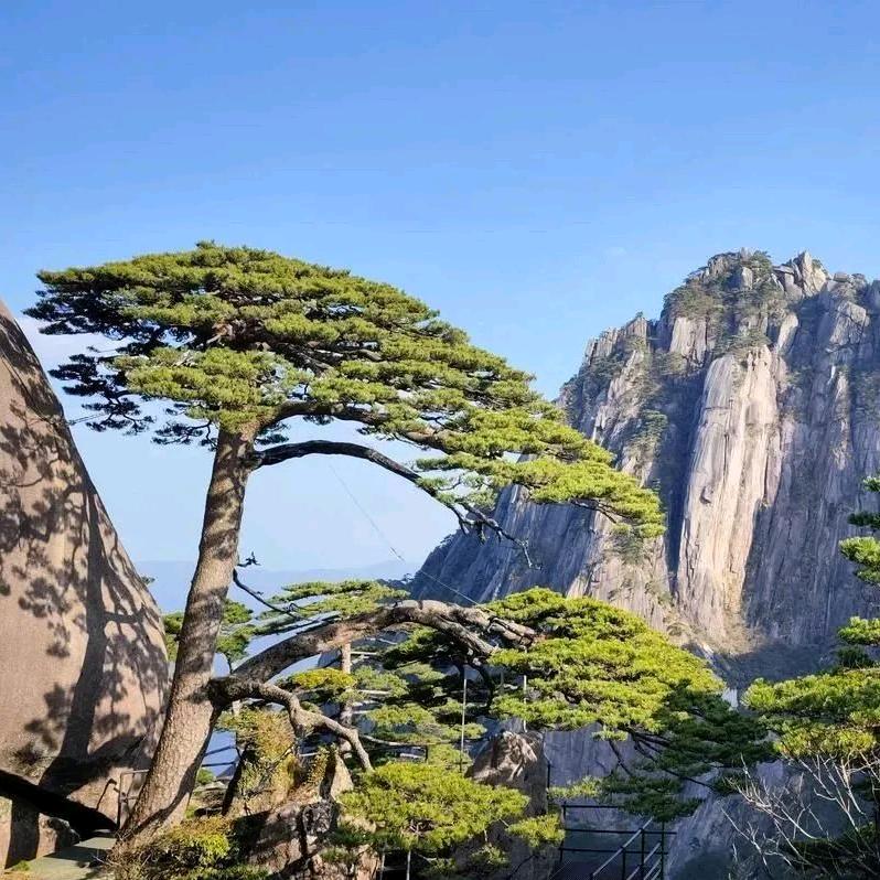 唯美的星空