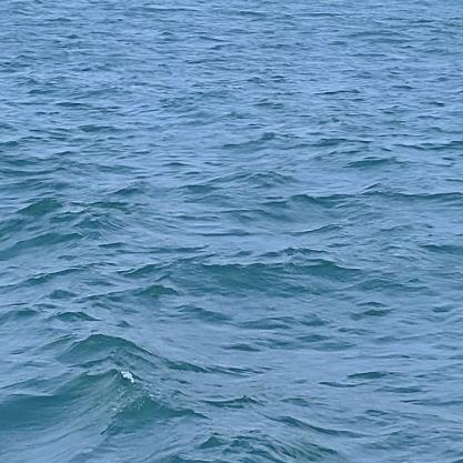 🍀越来越好🍀