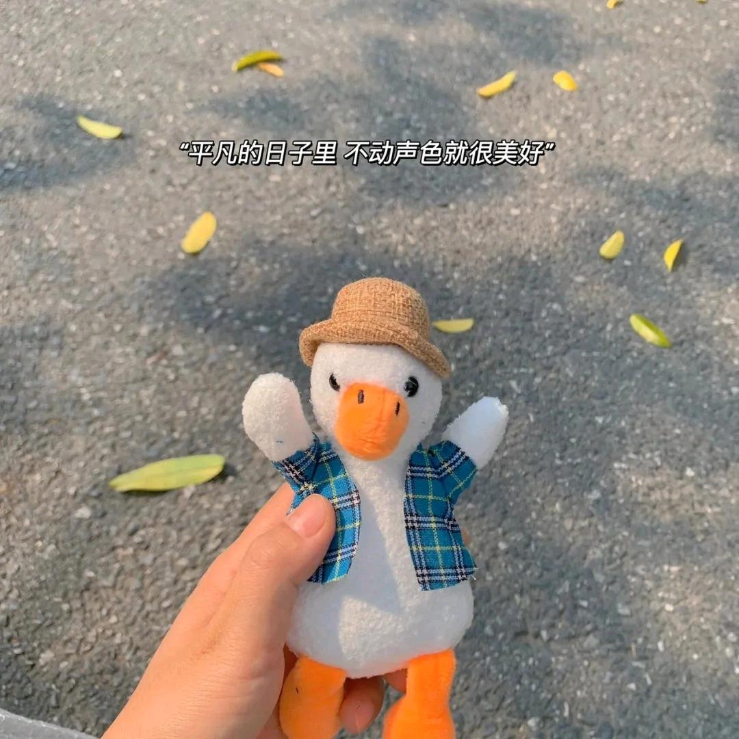 梦中的英雄梦