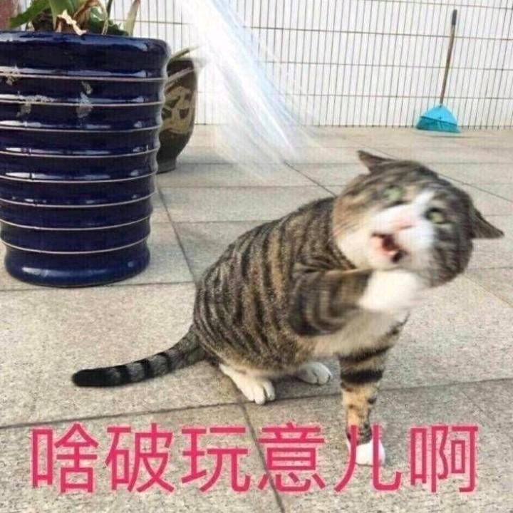 隔壁的叉烧