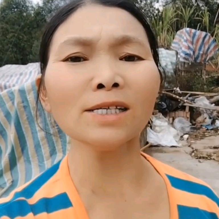 四妹精选