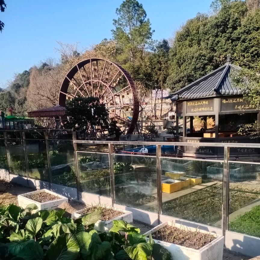东湖农庄