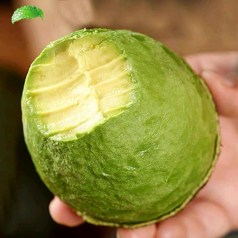夏末生鲜供应链