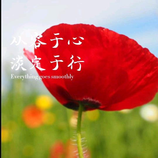 俊凯