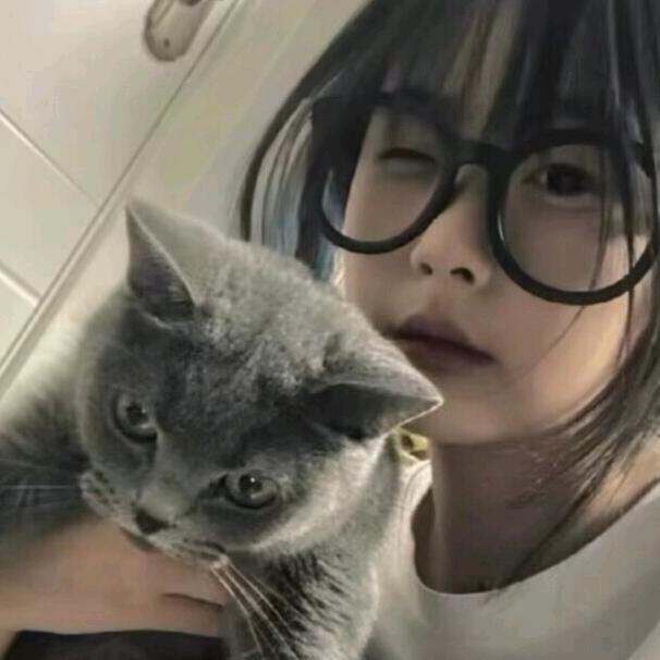 失眠夜z