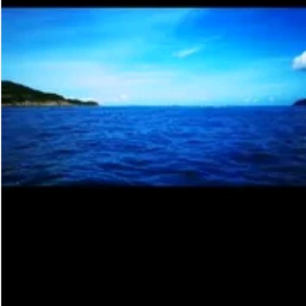 沧海一声笑       青龙腾飞上九霄