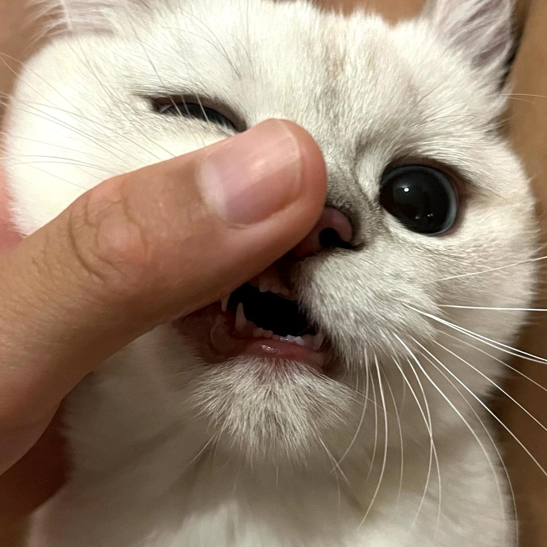 滂滂