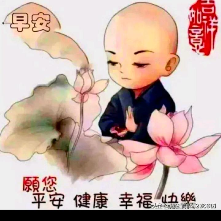 ☘羽墨⁵²⁴²