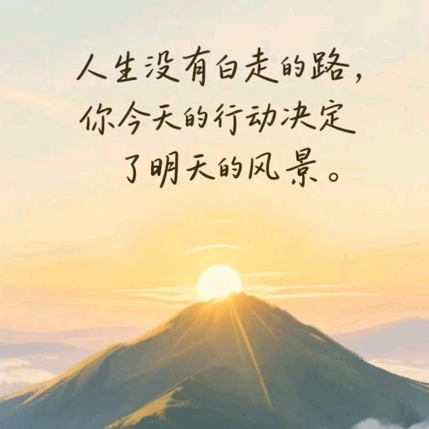 橙子呗